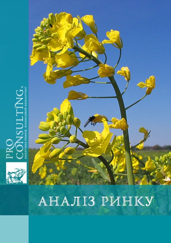 Аналіз ринку ріпаку України. 2004